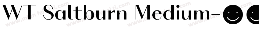 WT Saltburn Medium字体转换
